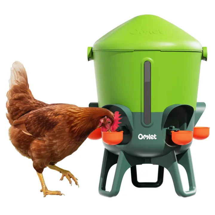 3 Gallon Insulated Chicken Waterer — BPA-Free Automatic Drinker