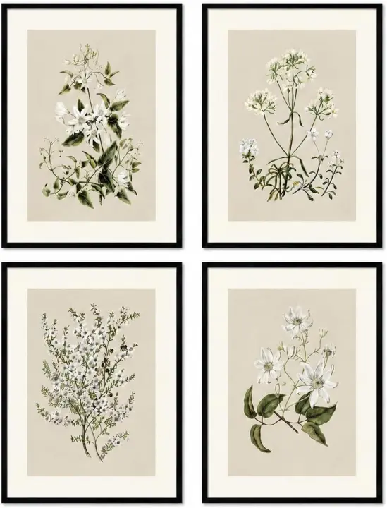 Framed Vintage Botanical Wall Art — Set of 4, 12x16 Floral Canvases