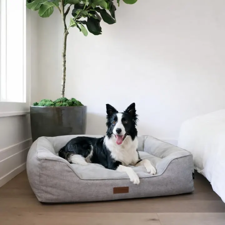 Orthopedic Egg-Crate Memory Foam Dog Bed — Medium Grey