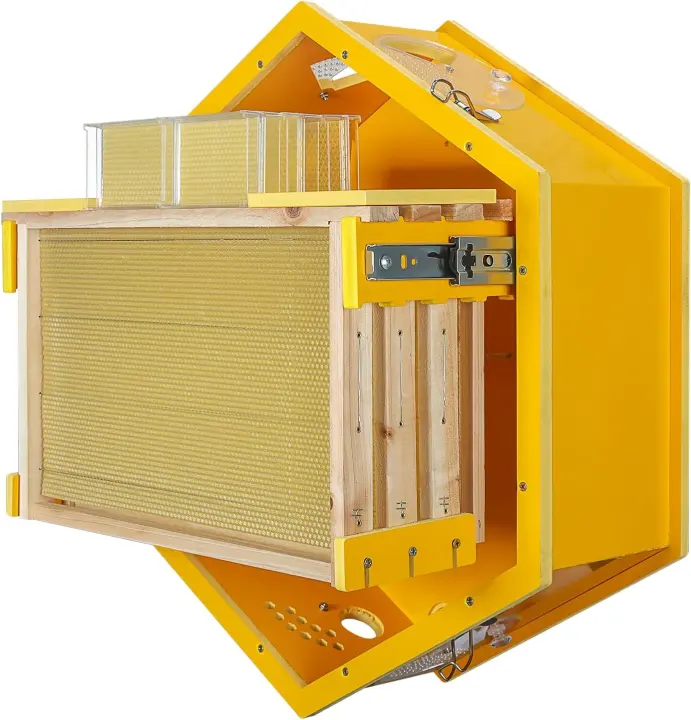 Teoon Wall-Mounted Hexagon Observation Beehive Kit (Medium)