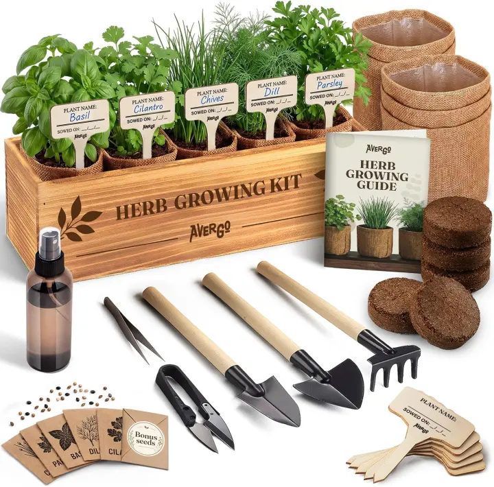 Windowsill Indoor Herb Garden Starter Kit — Kitchen Herb Growing Set